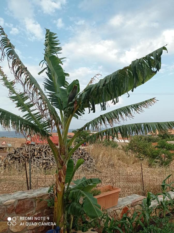 Zikos House *
